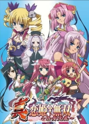 shin koihimemusou otome tairan hojft