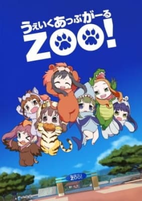 wake up girls zoo ocgvf