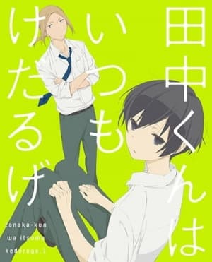 tanaka kun is always listless cqzlp