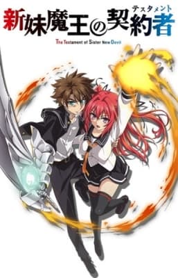 the testament of sister new devil ova oupgz
