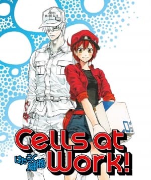 cells at work special nwvlt
