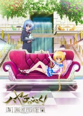 hayate the combat butler can t take my eyes off you ynurd