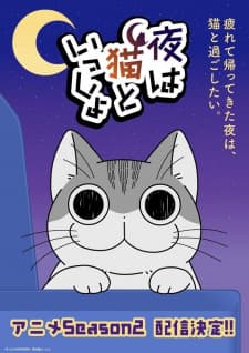 nights with a cat weami