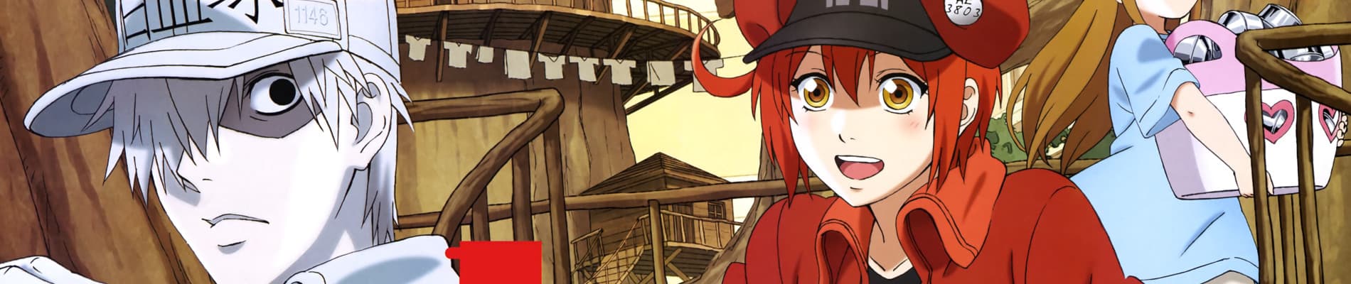 cells at work 2nd season giq4p