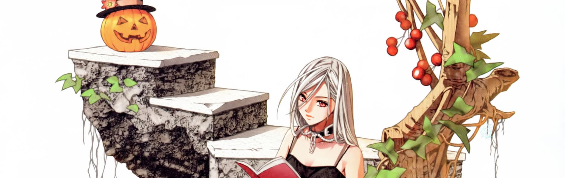 rosario vampire 2nd season f0g54